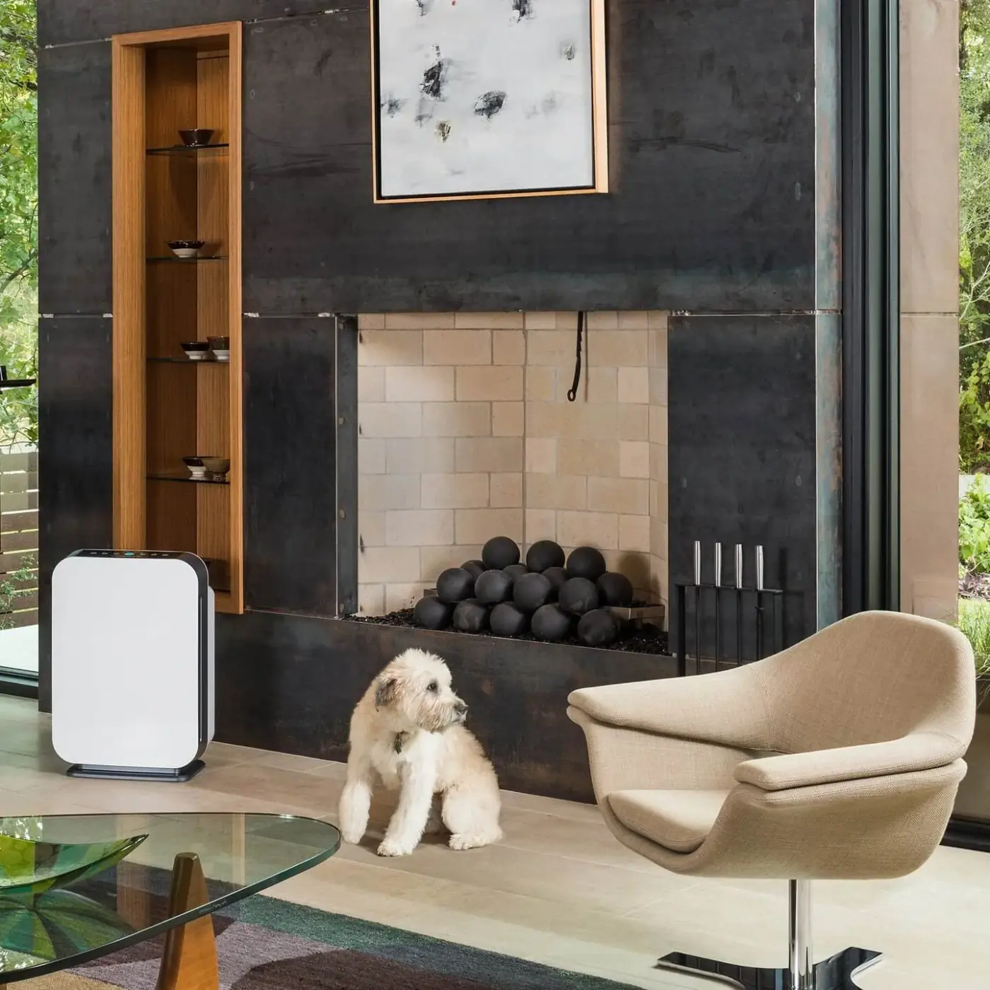 BreatheSmart 75i running in a living room with a dog nearby